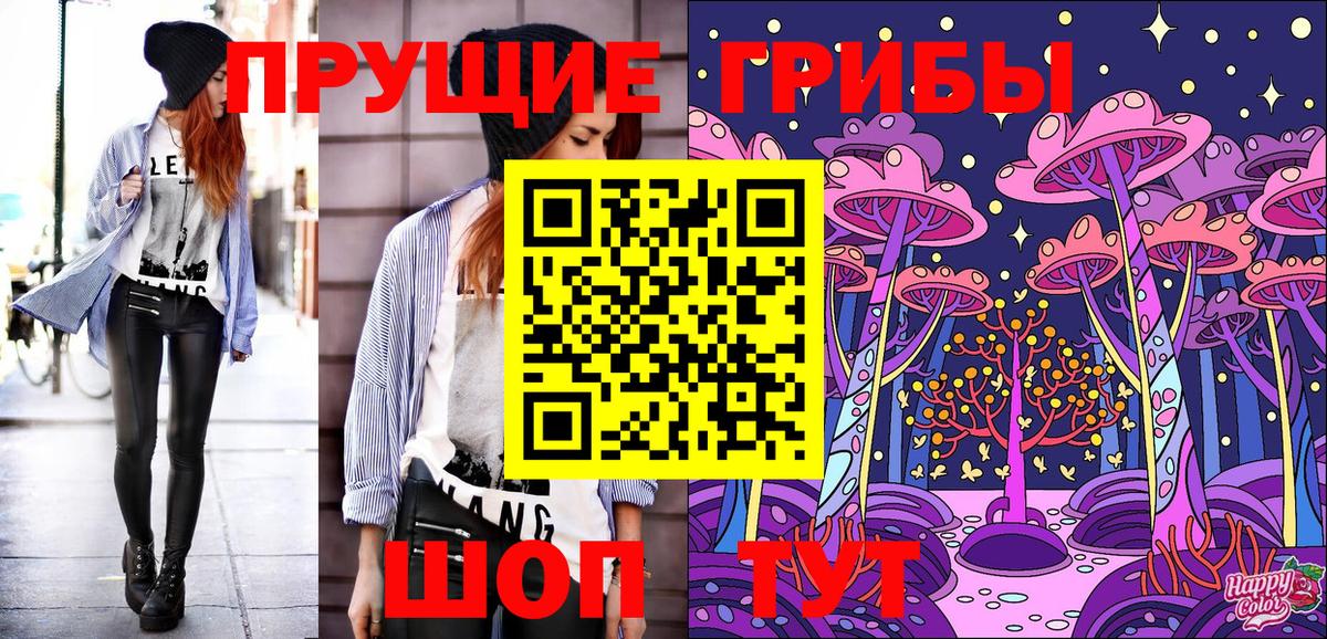 как найти   Псилоцибиновые грибы GOLDEN TEACHER  Вход с VPN  Тобольск  Галлюциногенные грибы Magic Shrooms 